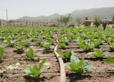 هدفگذاری پوشش 100 درصدی آبیاری قطره ای در دهستان کاکان