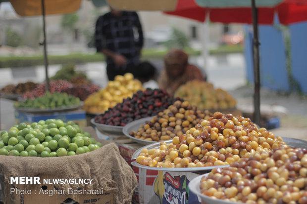 کاهش 289 هزار تنی فراوری میوه در استان زنجان