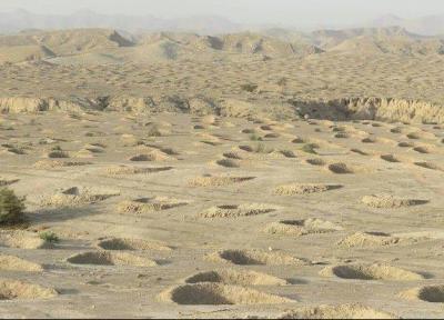 مزرعه های بادی و خورشیدی بیابان ها را حاصلخیز می نمایند