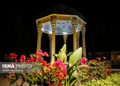 حافظ و نقد زیرکانه