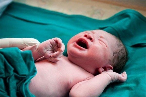 تولد پسرها در استان بوشهر 9 درصد بیشتر از دخترها بوده است تولد پسرها در استان بوشهر 9 درصد بیشتر از دخترها بوده است