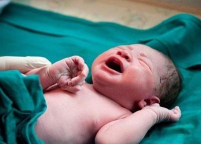 تولد پسرها در استان بوشهر 9 درصد بیشتر از دخترها بوده است