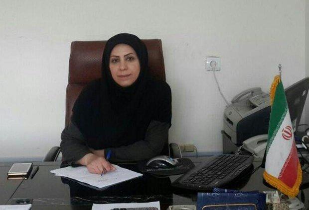 کارگاه ملی صنایع دستی درکرمانشاه برگزار می شود کارگاه ملی صنایع دستی درکرمانشاه برگزار می گردد
