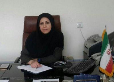 کارگاه ملی صنایع دستی درکرمانشاه برگزار می گردد