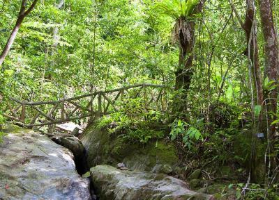 آشنایی با پارک ملی خاو پرا تاو پوکت