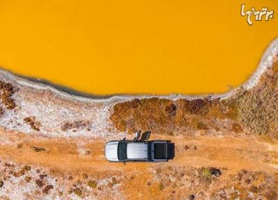 پرندگان جهان را چگونه می بینند؟