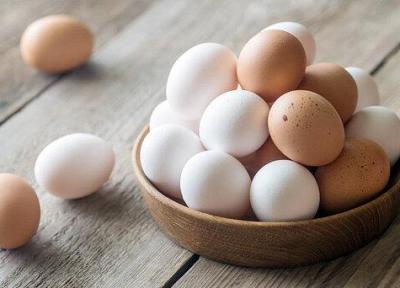 قیمت مصوب مرغ و تخم مرغ برای مصرف کننده اعلام شد
