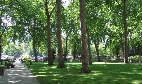 الزام شهرداری تهران به ایجاد سامانه فضای سبز شهر تهران