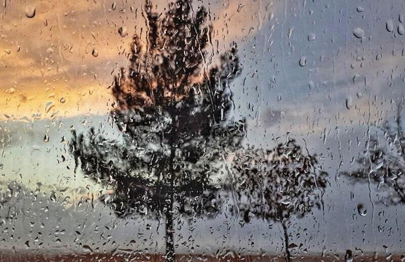 بارش ها در پاییز نرمال خواهد بود بارش ها در پاییز نرمال خواهد بود