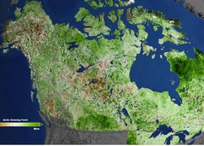 قطب شمال سرسبز می گردد