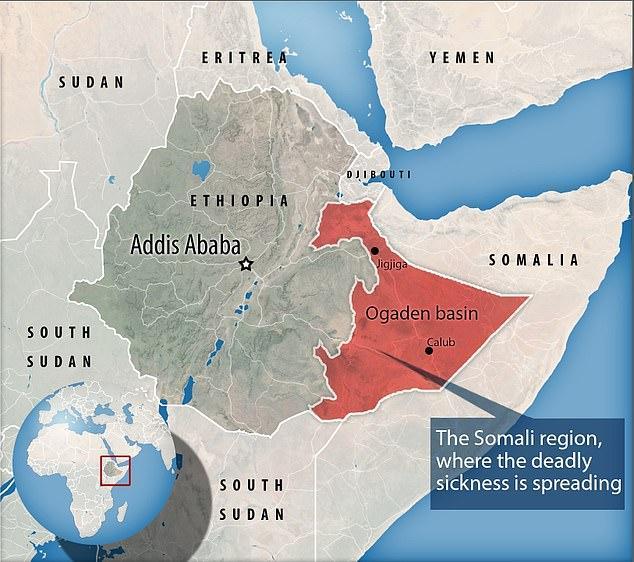 شیوع یک بیماری مرموز در اتیوپی: خونریزی از دهان و بینی و مرگ
