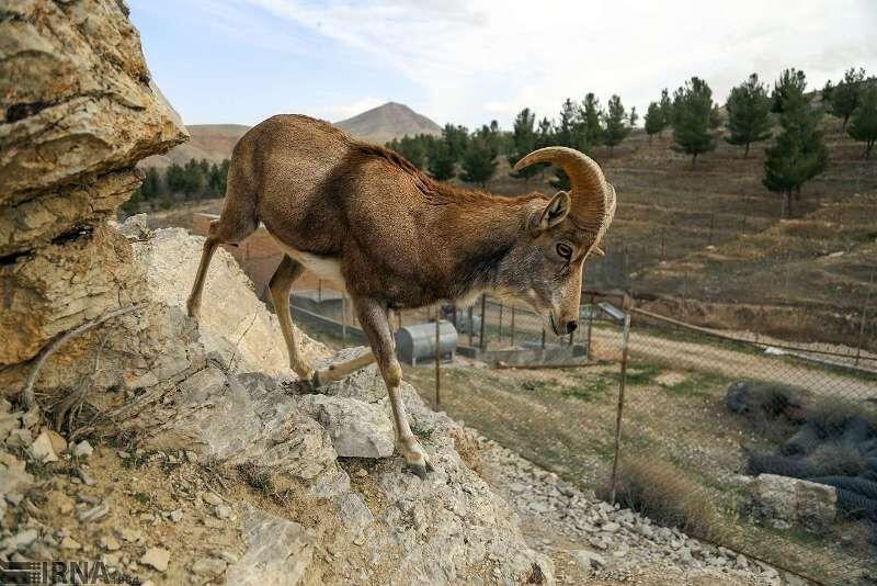 خبرنگاران مناطق تحت مدیریت محیط زیست استان تهران میزبان هیچ گردشگری نخواهد بود