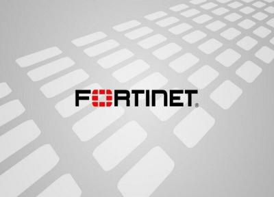 راهنمای خرید محصولات فورتی گیت