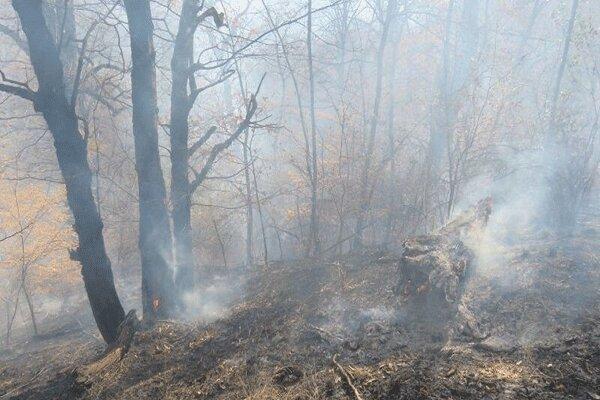 مهار آتش سوزی در جنگل خسرج