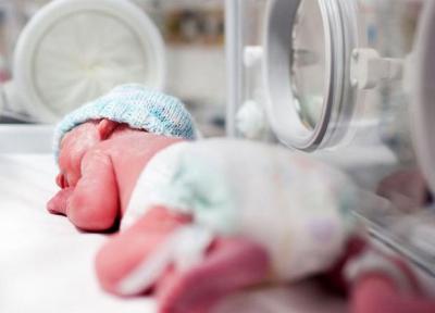 جنین فریز شده پس از 12 سال در اصفهان زنده شد