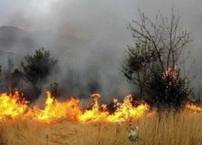 2 هکتار از جنگل پارک ملی دز در آتش سوخت