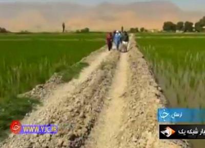 عشق و علاقه به کشاورزی بانوی تهرانی را روانه امیرآباد کرد