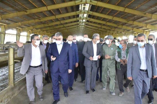 بازدید وزیر جهاد کشاورزی از مجتمع کشت و صنعت بیدمشک سربیشه