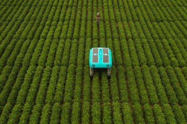 ربات هوشمند کشاورزی را متحول می نماید