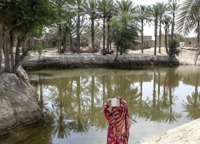 مرثیه سرایی برای کم آبی سیستان و بلوچستان پایان ندارد ، مردمی که از آب چهارپایان می نوشند!