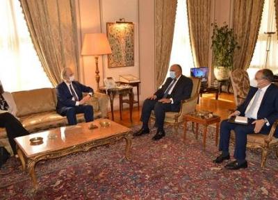 مصر از انتقال تروریست ها در سوریه به سایر نقاط جهان ابراز نگرانی کرد