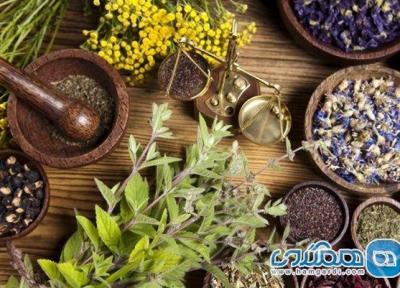 راهکارهای پیشگیری و درمان سردرد در طب ایرانی