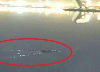 (تصویر) روایتی تازه از موجود مرموز دریاچه چیتگر