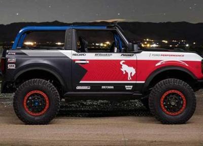 روباهِ صحرا! (+تصاویر)