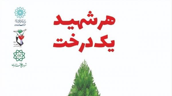 کاشت صد و ده نهال به نیت صد و ده مادر شهید در ویژه برنامه هر شهید یک درخت