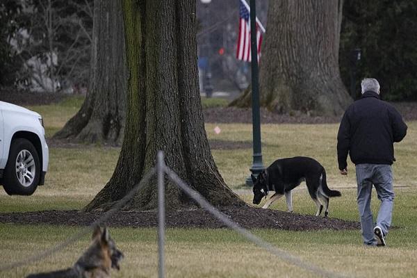 اخراج دو سگ رئیس جمهور آمریکا از کاخ سفید