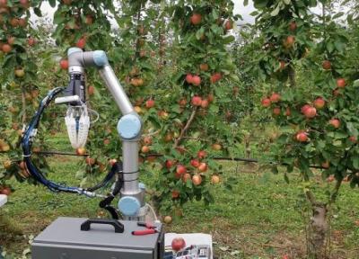 روباتی که سیب می چیند