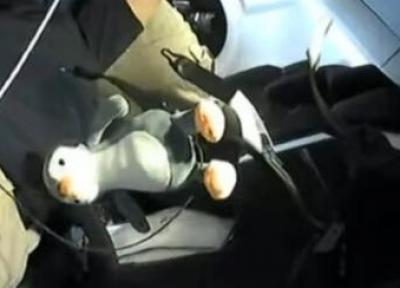 خدمه کرو-2 یک پنگوئن عروسکی با خود به فضا بردند