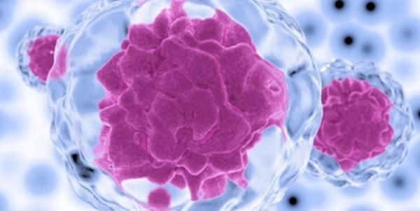 چگونه سلول های سیستم ایمنی برای درمان سرطان نقش آفرینی می نماید