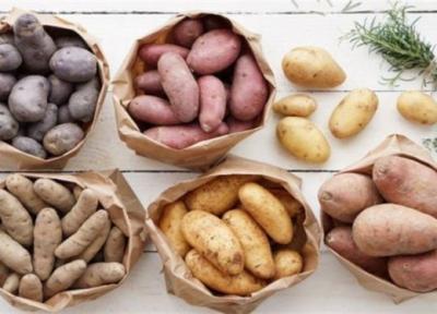 سیب زمینی هایی که تابحال ندیده اید