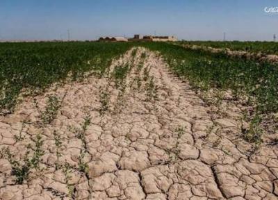 اختصاص 1500 میلیارد تومان برای مقابله با خشکسالی در اردبیل