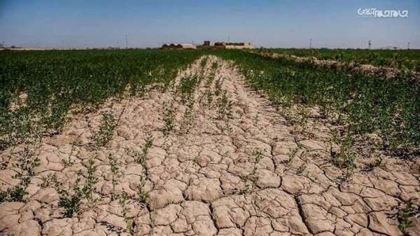 اختصاص 1500 میلیارد تومان برای مقابله با خشکسالی در اردبیل
