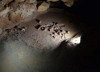 کشف ردپاهای دوران پارینه سنگی