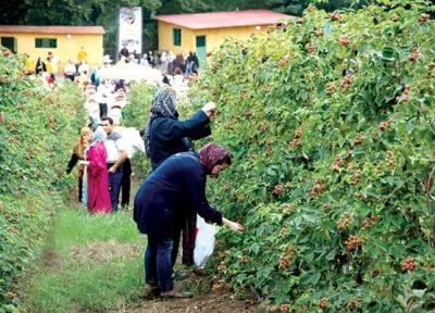بهره برداری از نخستین طرح گردشگری کشاورزی در لرستان