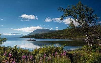 پارک ملی آبیسکو در سوئد، جایی عالی برای تماشای شفق قطبی