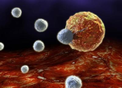 ابن واکسن نوین سرطان، سلول های سرطانی را تبدیل به سلول های شناساننده آنتی ژن به سلول های ایمنی می نماید