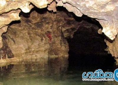گونه ای تازه از بندپایان در غار دانیال و یک حشره میکروسکوپی در غار مغان کشف شد
